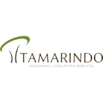 Tamarindo Engenharia